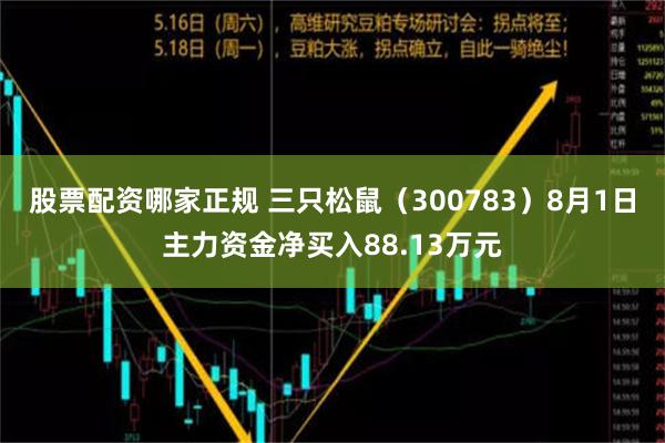 股票配资哪家正规 三只松鼠（300783）8月1日主力资金净买入88.13万元