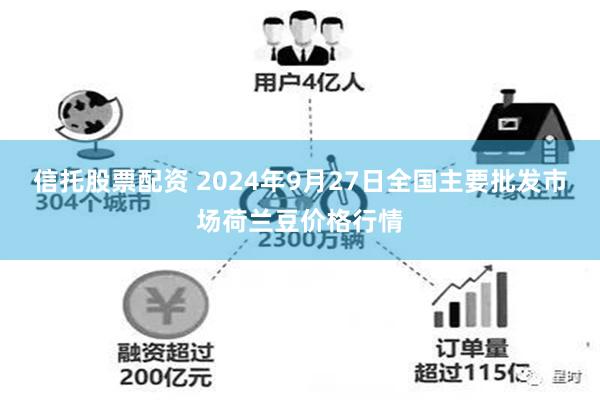 信托股票配资 2024年9月27日全国主要批发市场荷兰豆价格行情