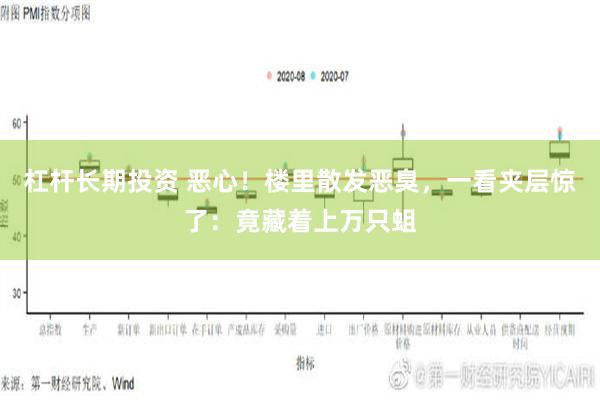 杠杆长期投资 恶心！楼里散发恶臭，一看夹层惊了：竟藏着上万只蛆