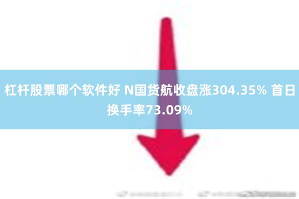 杠杆股票哪个软件好 N国货航收盘涨304.35% 首日换手率73.09%