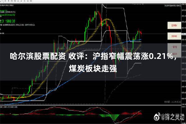 哈尔滨股票配资 收评：沪指窄幅震荡涨0.21%，煤炭板块走强