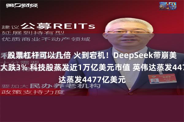 股票杠杆可以几倍 火到宕机！DeepSeek带崩美股！纳指大跌3% 科技股蒸发近1万亿美元市值 英伟达蒸发4477亿美元