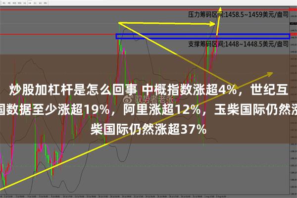 炒股加杠杆是怎么回事 中概指数涨超4%，世纪互联和万国数据至少涨超19%，阿里涨超12%，玉柴国际仍